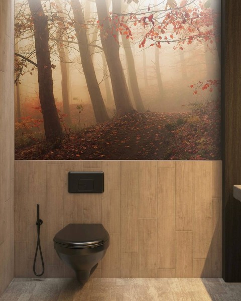 MARBURG | Foggy Autumn Forest